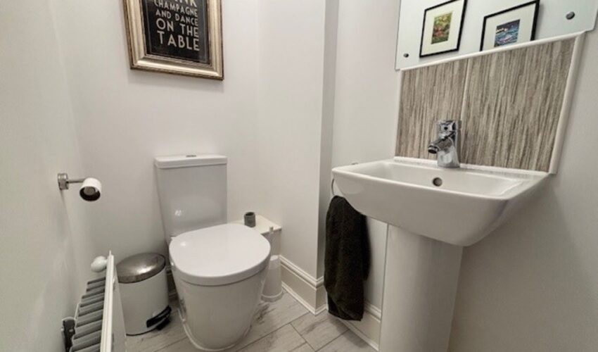  Image 7