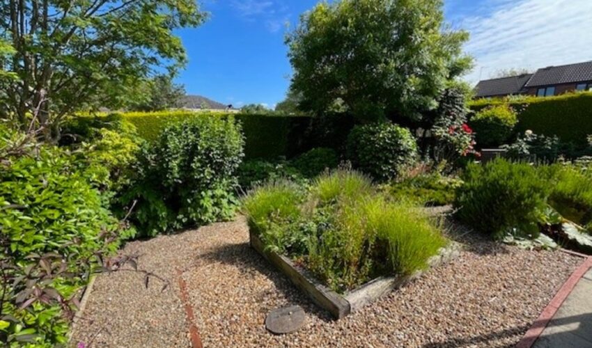 Steeple View, Ashton-on-ribble, Preston Image 9