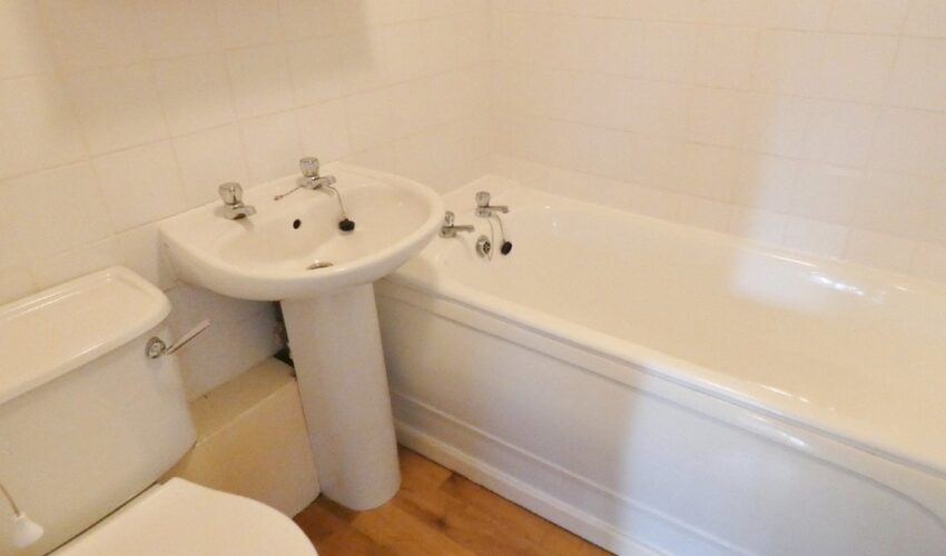  Image 5