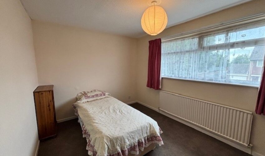  Image 5