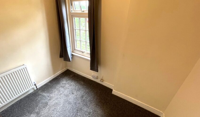  Image 11
