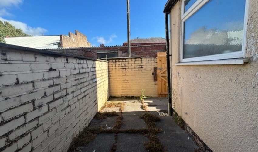  Image 7