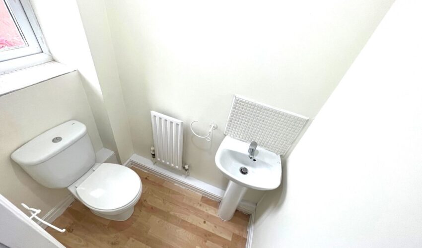  Image 4