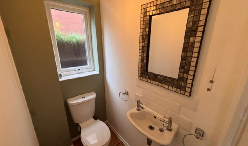  Image 8