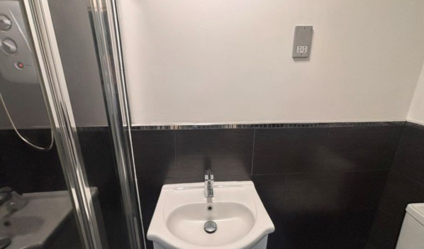  Image 12