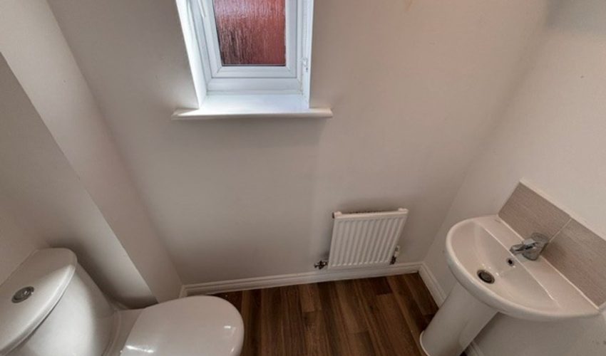  Image 4