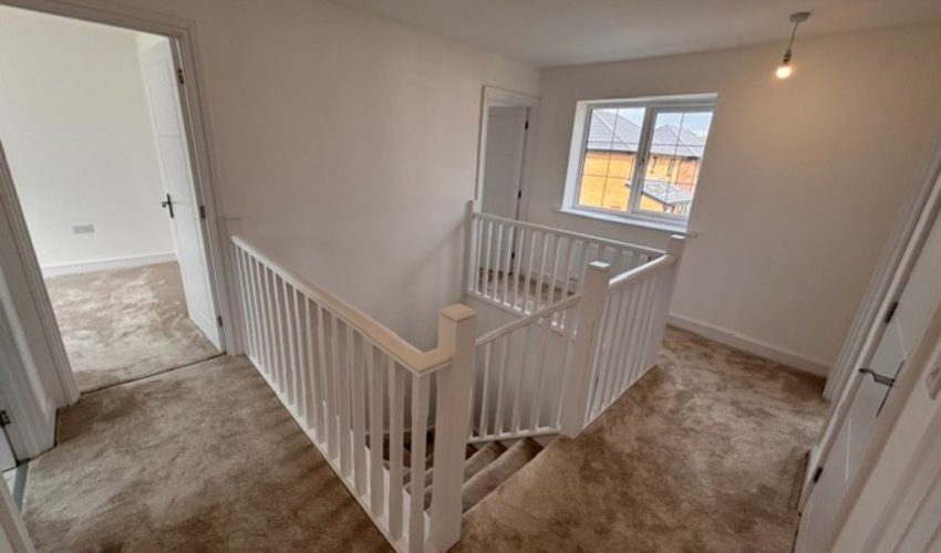  Image 8