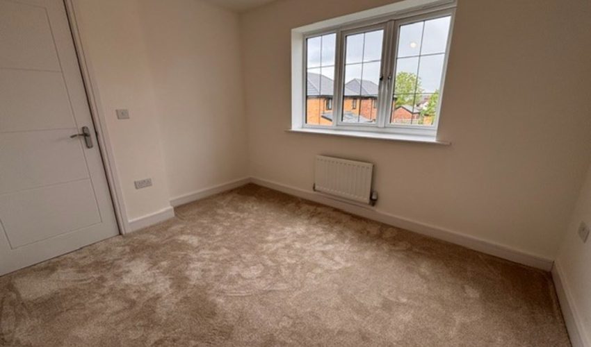  Image 11
