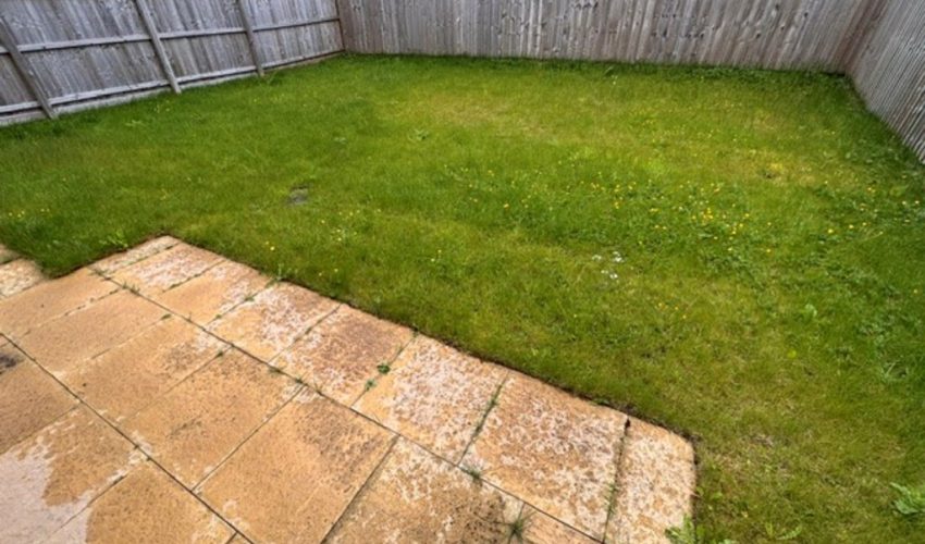  Image 15