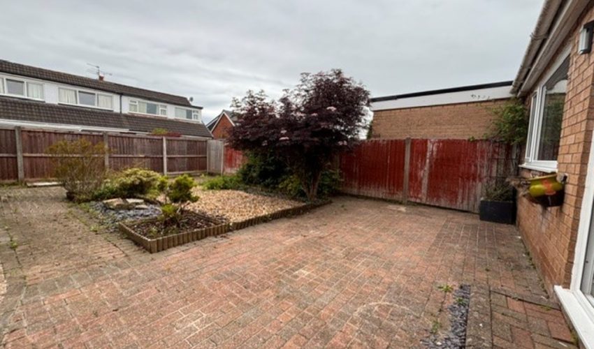  Image 11
