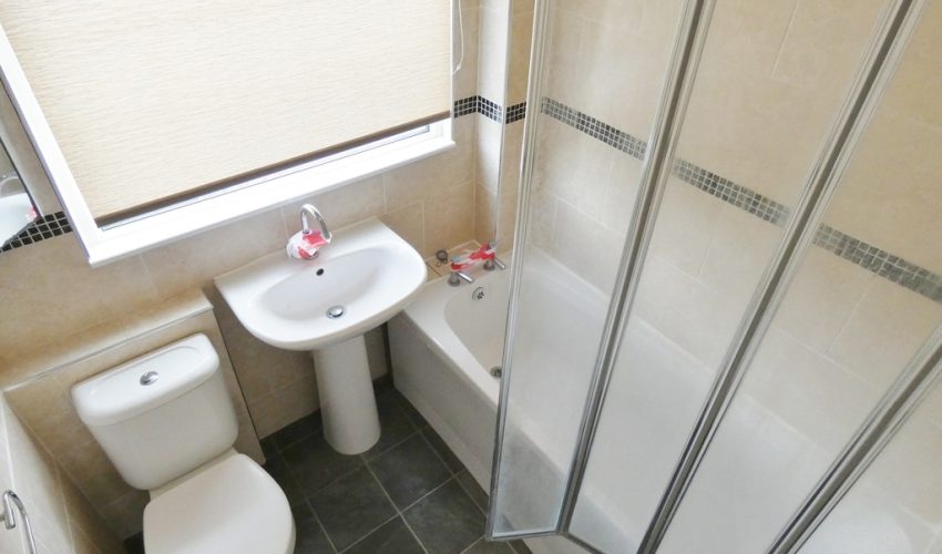  Image 8