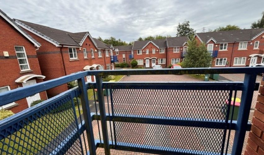  Image 8