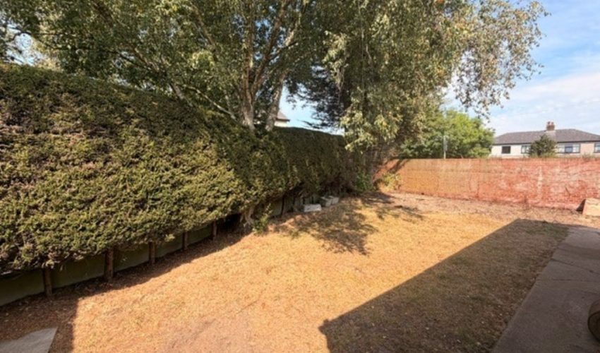  Image 15
