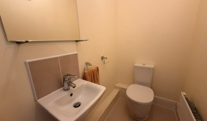  Image 7
