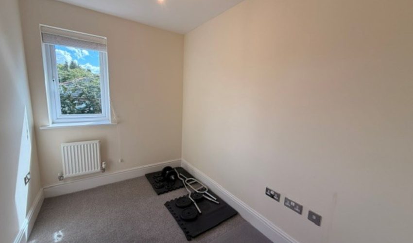  Image 12