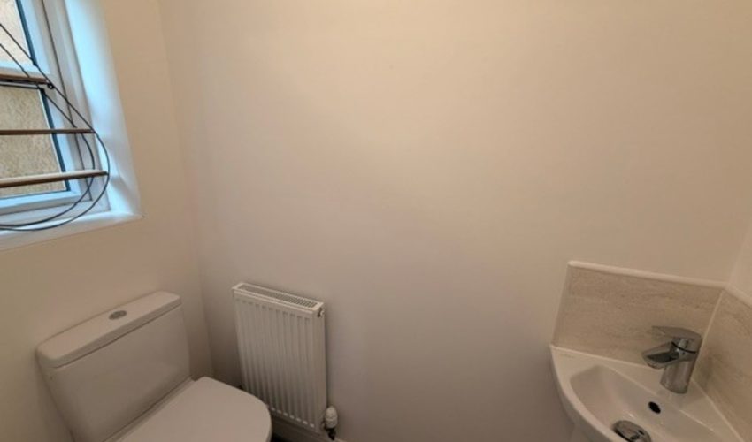  Image 8