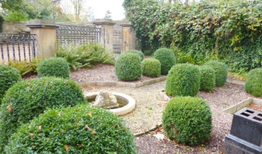 Bank Parade, Preston Image 9